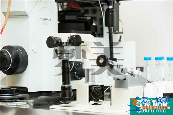 在HRC做試管嬰兒是自己選擇專家嗎？？