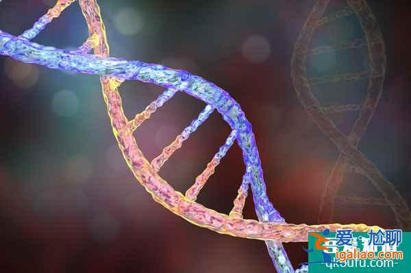 在HRC做試管嬰兒是自己選擇專家嗎？？