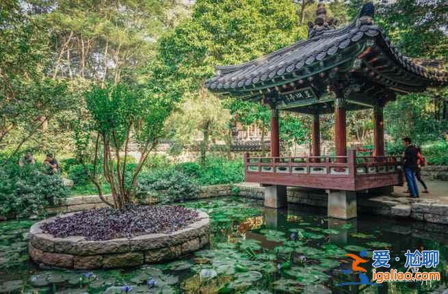 廣州最美賞花地，去“花城”看花吧！？