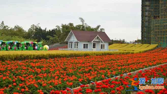 廣州最美賞花地，去“花城”看花吧！？