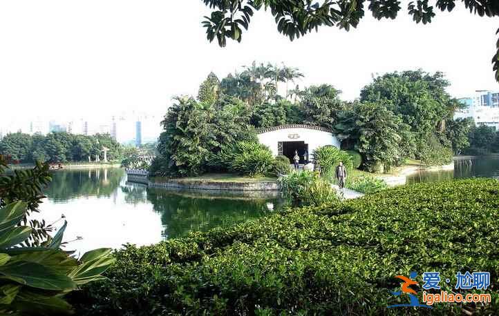 廣州最美賞花地，去“花城”看花吧！？