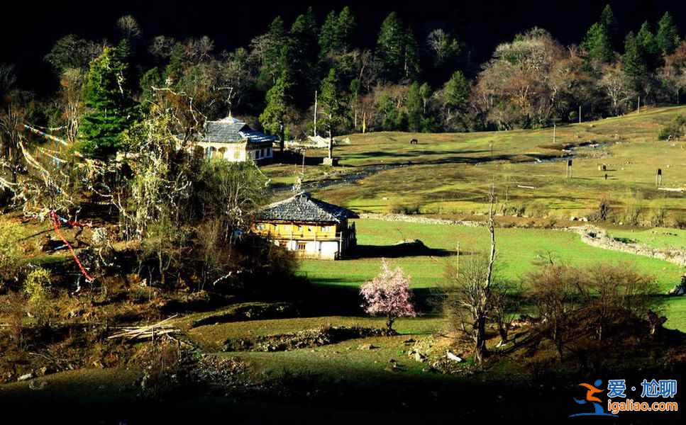 中國(guó)有個(gè)地方叫雨崩，你一定要看一看！？