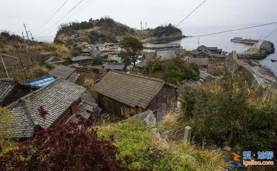 喵星人真的占領地球了！走進日本貓島？