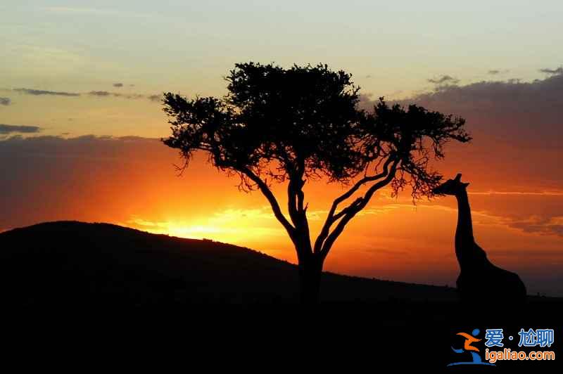 走萬里路!到了非洲,你才知道這些!? 走萬里路!到了非洲,你才知道這些!?