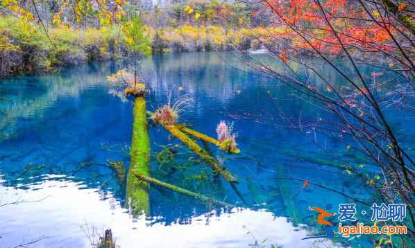 川西，四川最迷人的地區【海量美圖】？