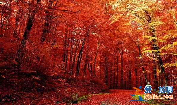 川西，四川最迷人的地區【海量美圖】？