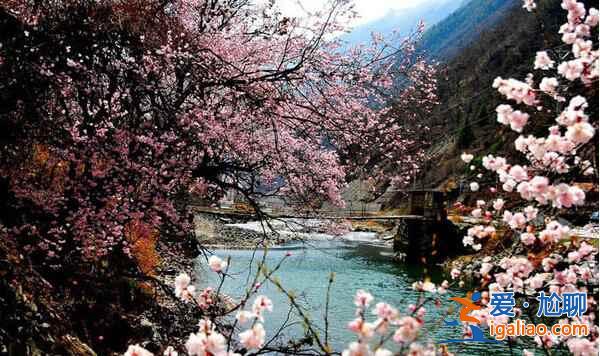 川西，四川最迷人的地區【海量美圖】？