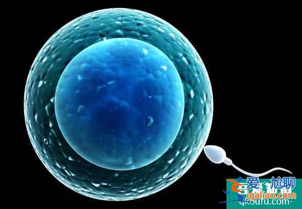 赴美做試管嬰兒需要注意哪些細節？？