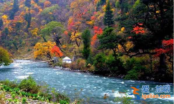 川西，四川最迷人的地區【海量美圖】？