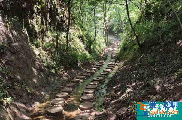 馬陵山門票多少錢 馬陵山屬于哪個城市？