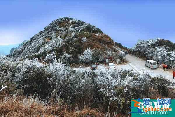 2021南寧大明山什么時候有霧凇 入園須知? 2021南寧大明山什么時候有霧凇 入園須知?