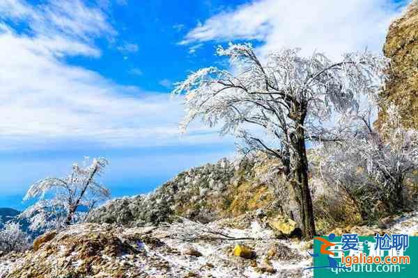 2021南寧大明山什么時候有霧凇 入園須知? 2021南寧大明山什么時候有霧凇 入園須知?