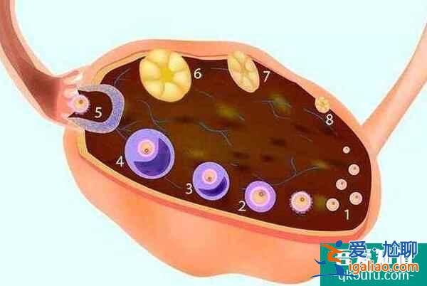 哪些因素會影響胚胎著床,試管嬰兒如何避免?? 哪些因素會影響胚胎著床,試管嬰兒如何避免??
