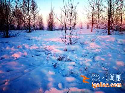 一路向北 縱馳人生——自駕滿洲里，追逐最美雪景？