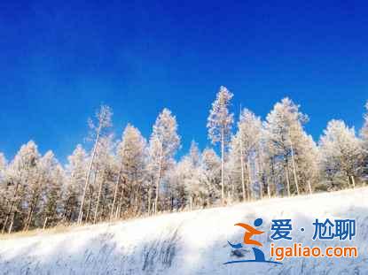 一路向北 縱馳人生——自駕滿洲里，追逐最美雪景？