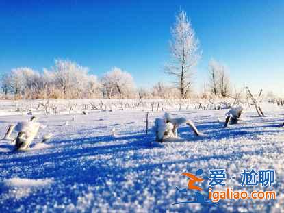 一路向北 縱馳人生——自駕滿洲里，追逐最美雪景？