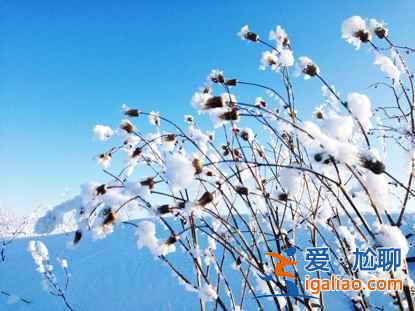 一路向北 縱馳人生——自駕滿洲里，追逐最美雪景？