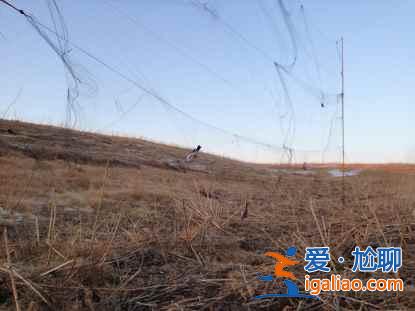 一路向北 縱馳人生——自駕滿洲里，追逐最美雪景？