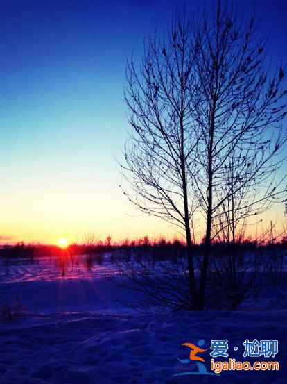 一路向北 縱馳人生——自駕滿洲里，追逐最美雪景？