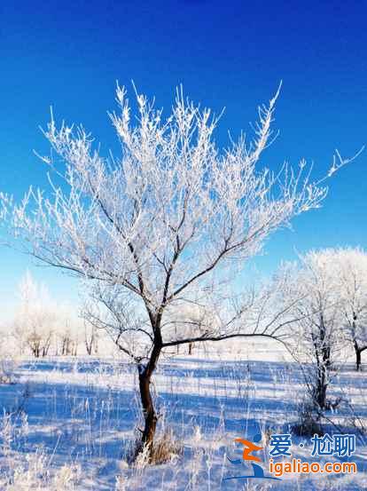 一路向北 縱馳人生——自駕滿洲里，追逐最美雪景？