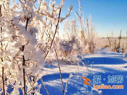 一路向北 縱馳人生——自駕滿洲里，追逐最美雪景？