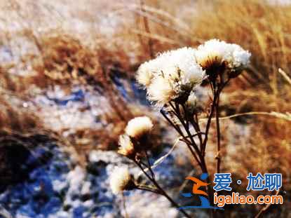 一路向北 縱馳人生——自駕滿洲里，追逐最美雪景？