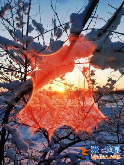 一路向北 縱馳人生——自駕滿洲里，追逐最美雪景？