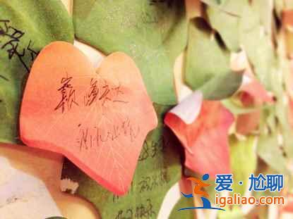 一路向北 縱馳人生——自駕滿洲里，追逐最美雪景？