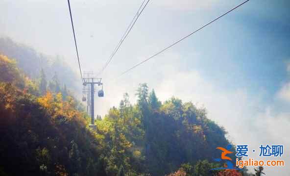 世界最美的空中花園，就在中國(guó)！？