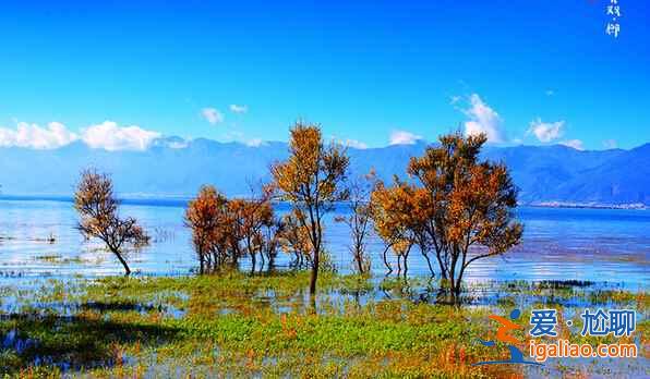 去大理雙廊,享受風花雪月的曼妙? 去大理雙廊,享受風花雪月的曼妙?