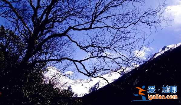 卡片機拍下的九寨黃龍，同樣美的驚人??？