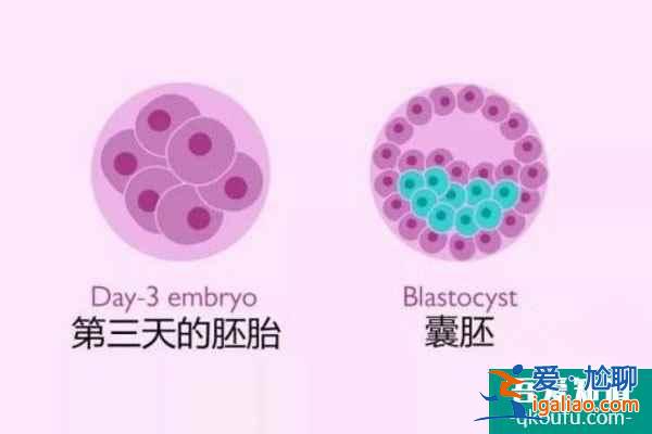 試管嬰兒如何避免宮外孕？？