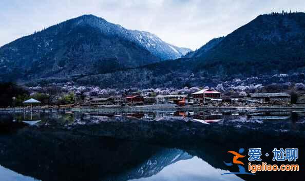 【西藏攝影】一路美景，風光無限？