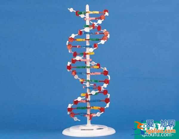 母親節·感恩禮 HRC為您分享赴美試管助孕攻略？
