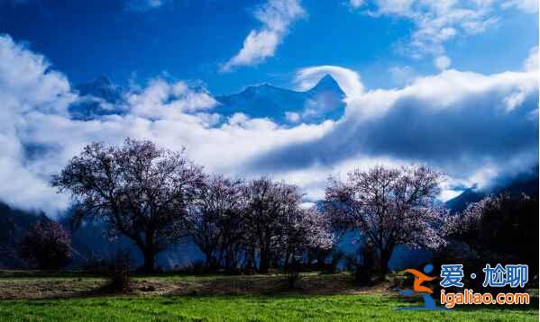 【西藏攝影】一路美景，風光無限？