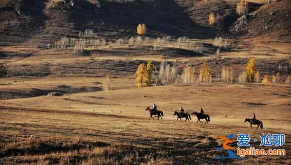 禾木村:中國最美的邊陲小村,攝影師的天堂? 禾木村:中國最美的邊陲小村,攝影師的天堂?