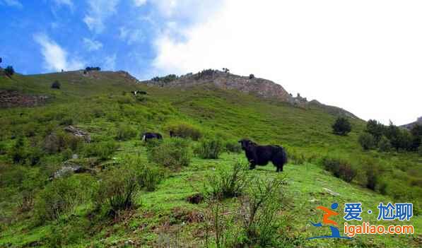 徒步圣地七藏溝,2015年即將被開發!抓緊時間去吧!? 徒步圣地七藏溝,2015年即將被開發!抓緊時間去吧!?