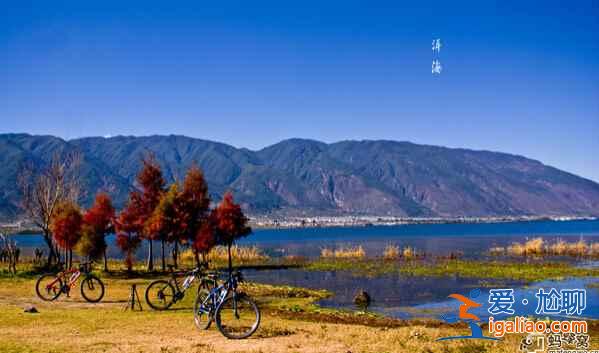 蒼山洱海旁，有個美麗的大理？