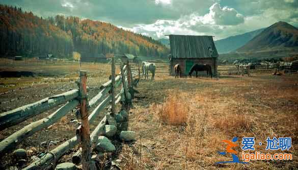 禾木村:中國最美的邊陲小村,攝影師的天堂? 禾木村:中國最美的邊陲小村,攝影師的天堂?