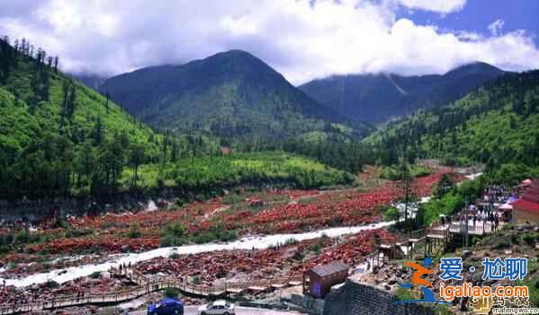 香格里拉大環線騎行指南、路線、沿途美景？
