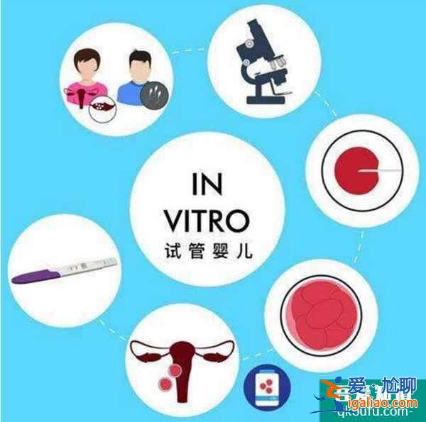 試管嬰兒定制雙胞胎，要多帶帶收費嗎？？