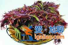 香椿芽炒雞蛋？