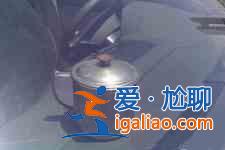 鹽焗雞蛋? 鹽焗雞蛋?