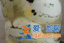 腌雞蛋的做法? 腌雞蛋的做法?