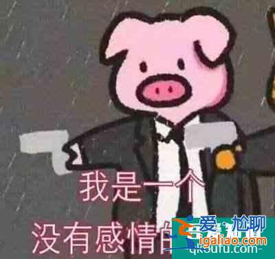 《平凡的榮耀》終于有一部專心搞事業，不講瑪麗蘇的職場行業劇？