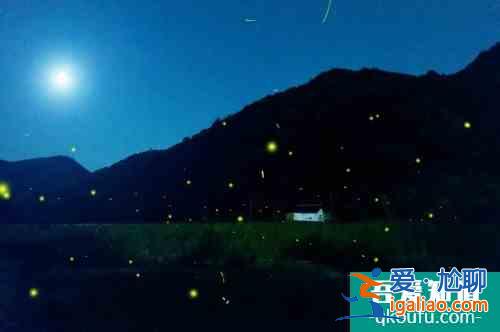 浙個藏在千島湖邊的絕美賞螢地，高鐵直達還很“野”？