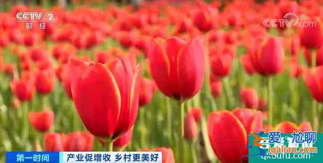 農業農村部：打造鄉村旅游精品工程 建設鄉村產業集聚區？