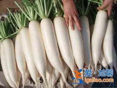 腌制白蘿卜的做法大全？