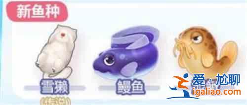 摩爾莊園鰻魚在哪釣？釣鰻魚位置一覽？