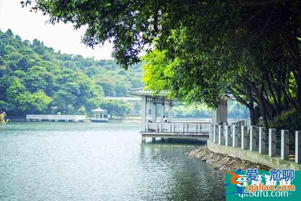 西樵山門票價格及優惠政策介紹？